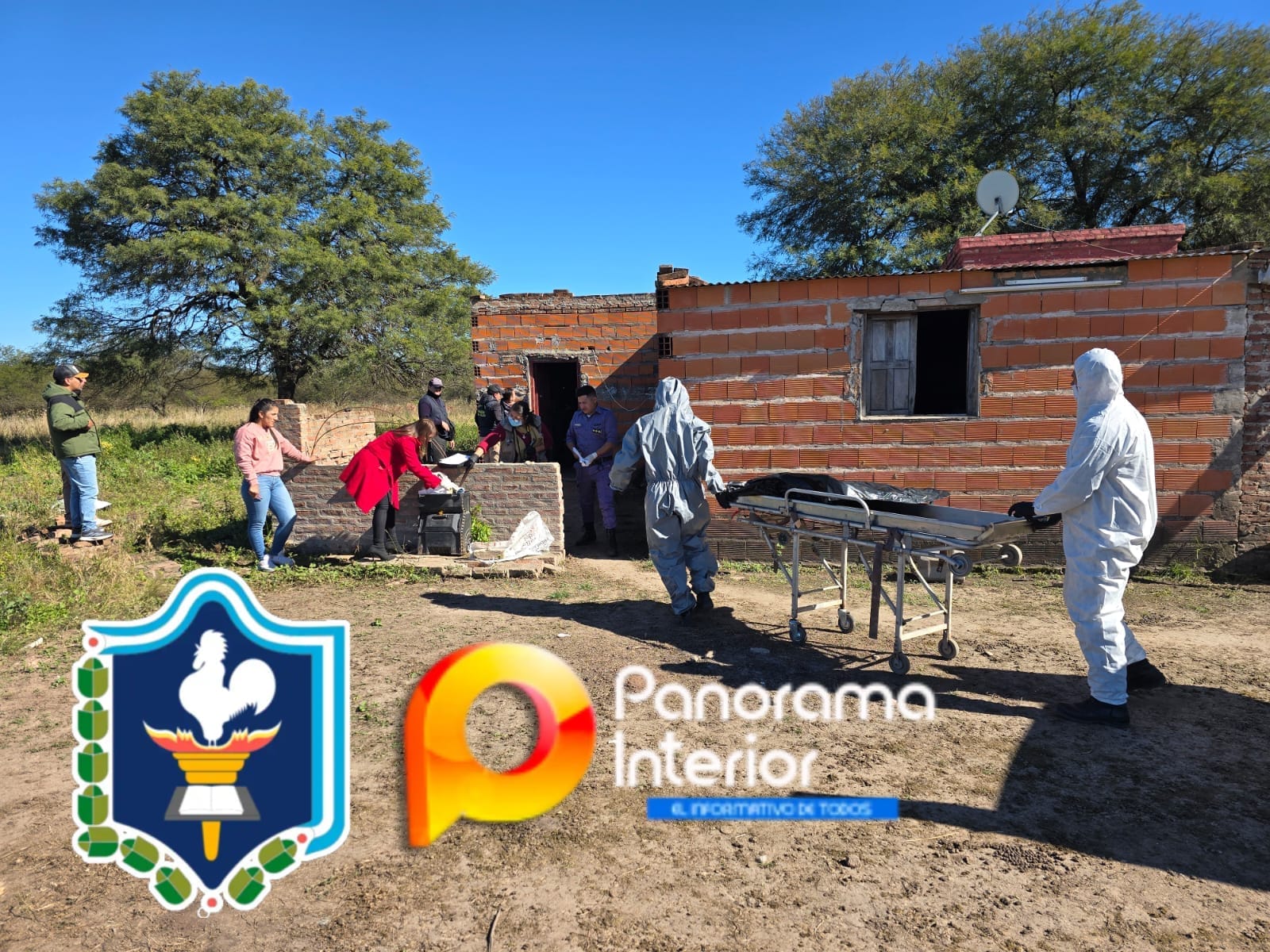 Imagen principal