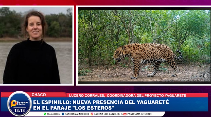 Imagen principal