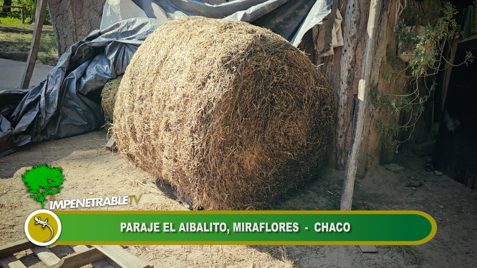 Imagen adicional