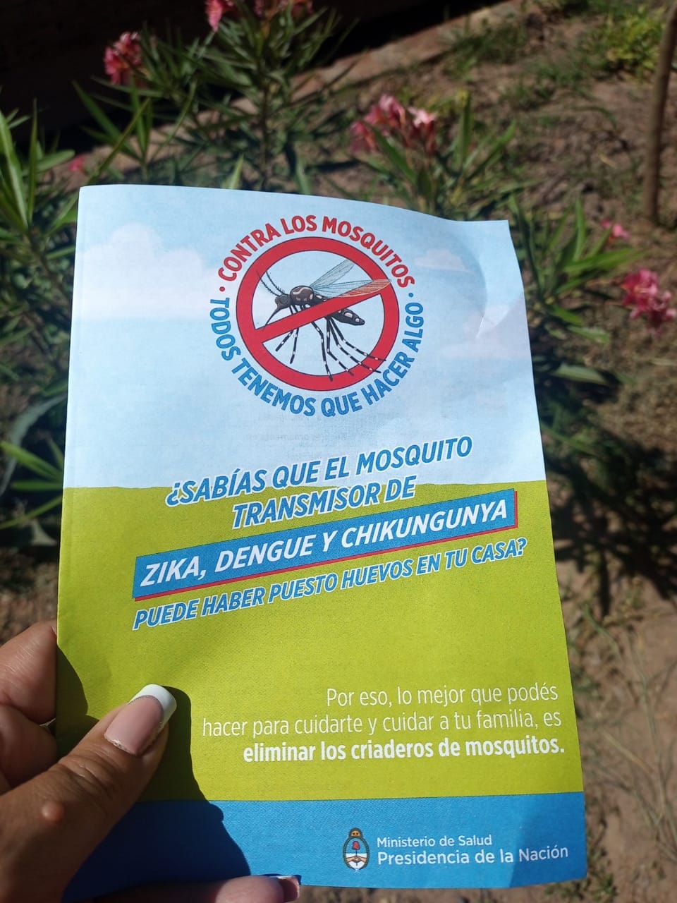 Imagen adicional