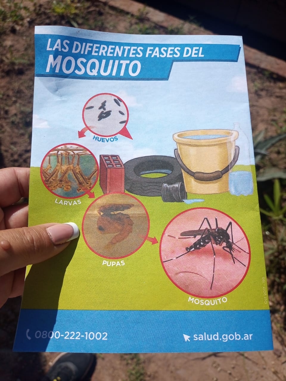 Imagen adicional