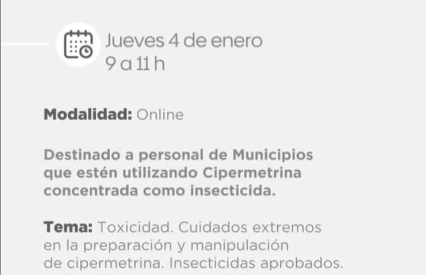 Imagen adicional