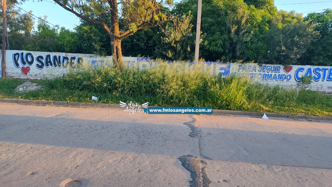 Imagen adicional