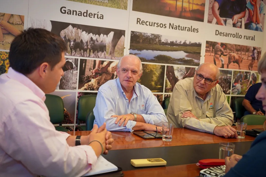Imagen adicional