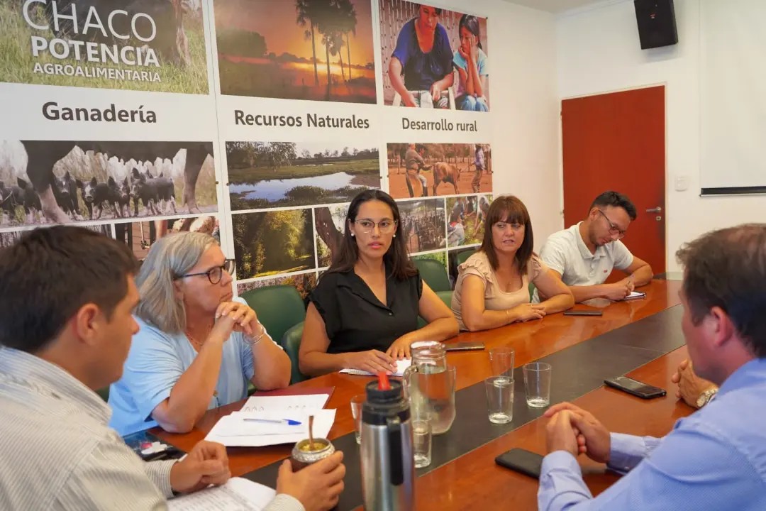 Imagen adicional
