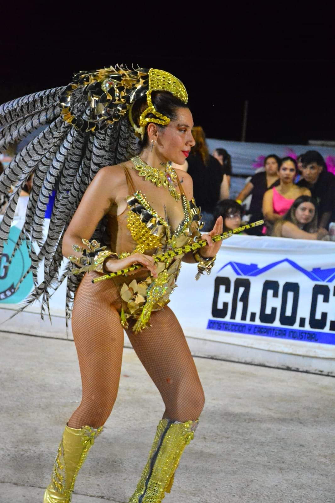 Imagen adicional