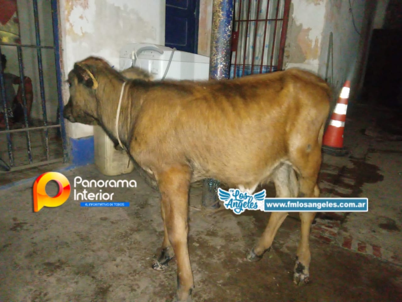 Imagen adicional