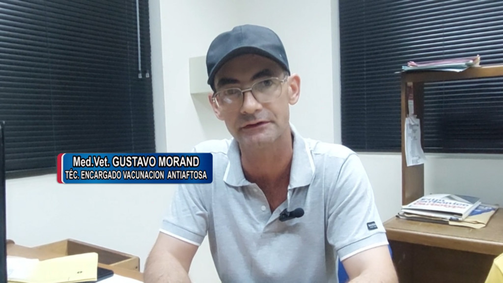 Imagen adicional