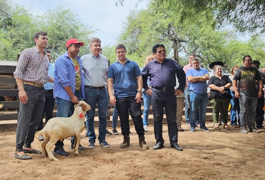 Imagen adicional
