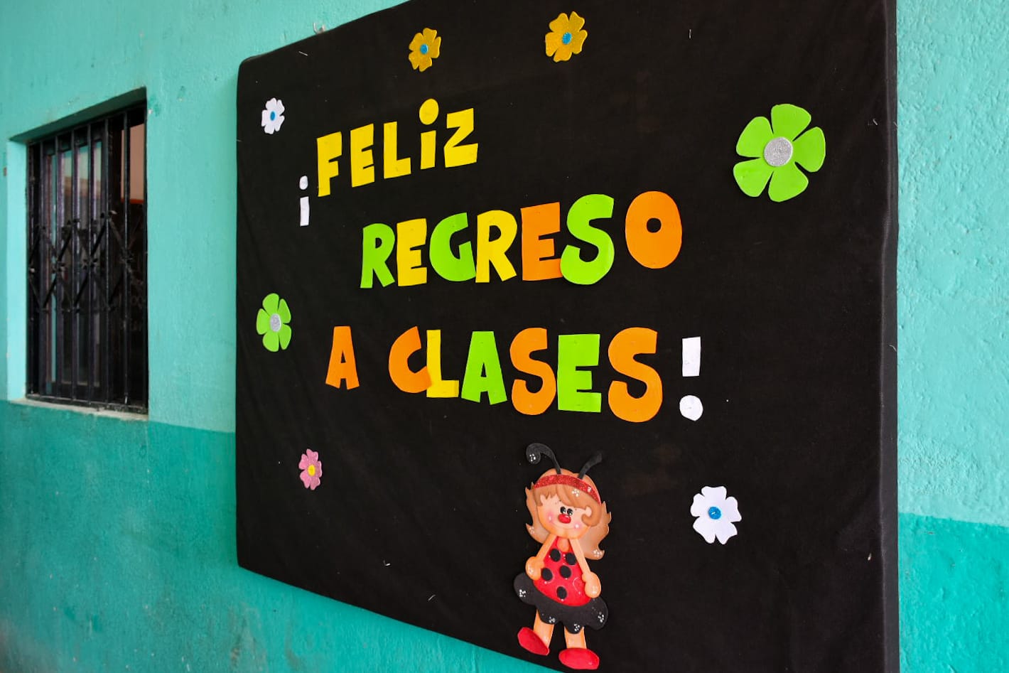 Imagen adicional