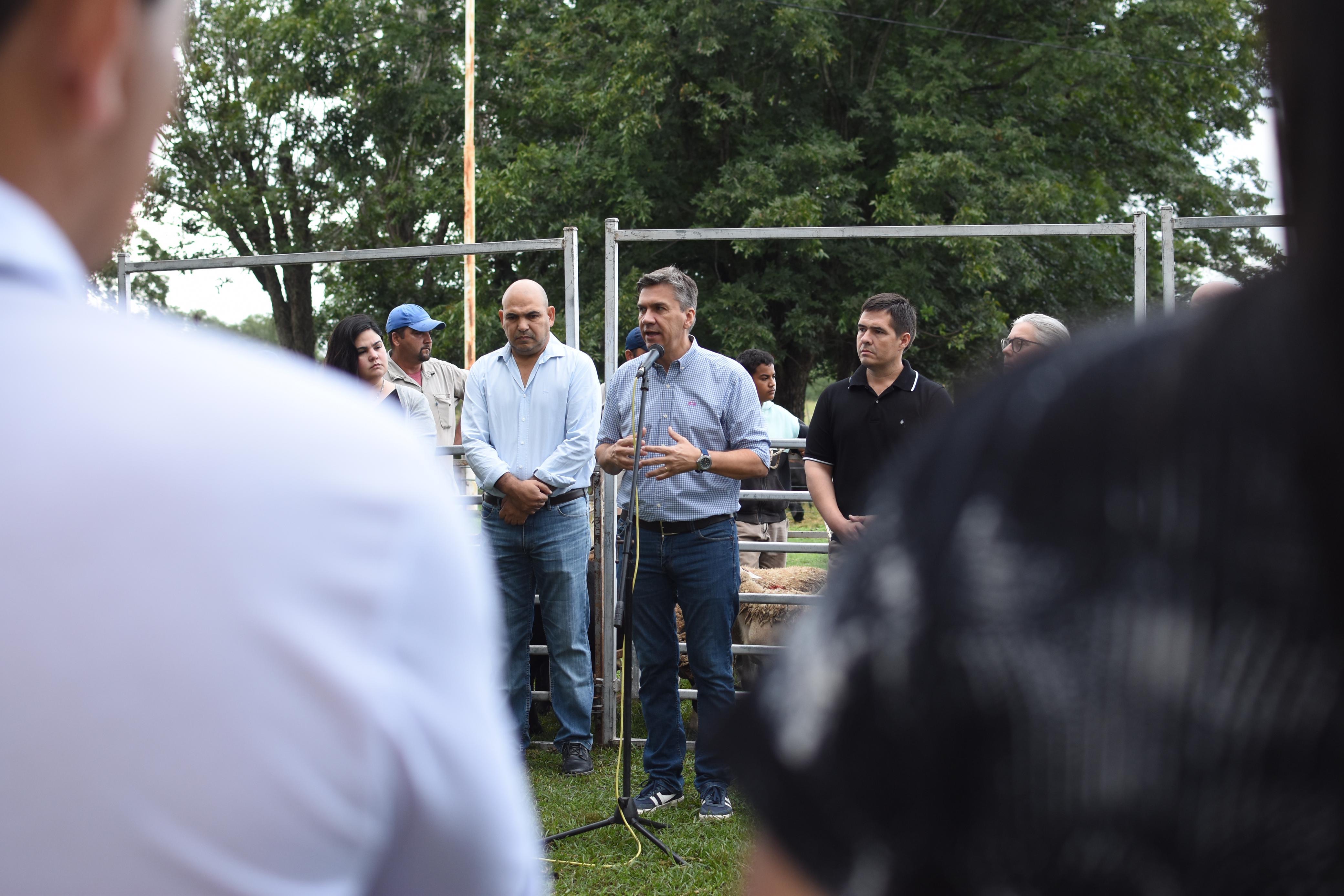Imagen adicional