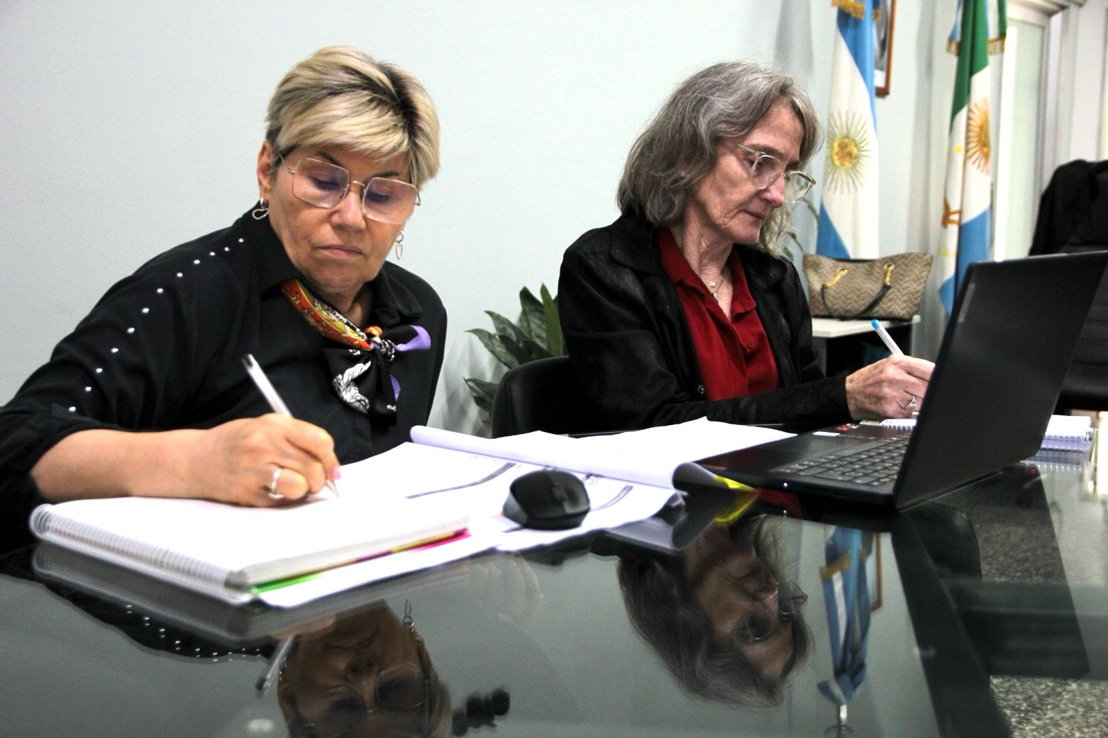 Imagen adicional