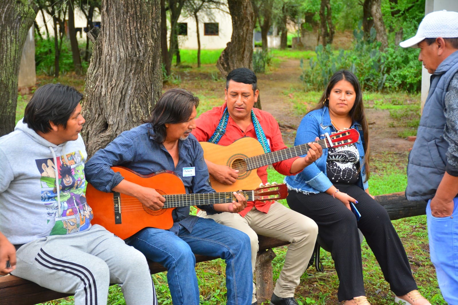 Imagen adicional