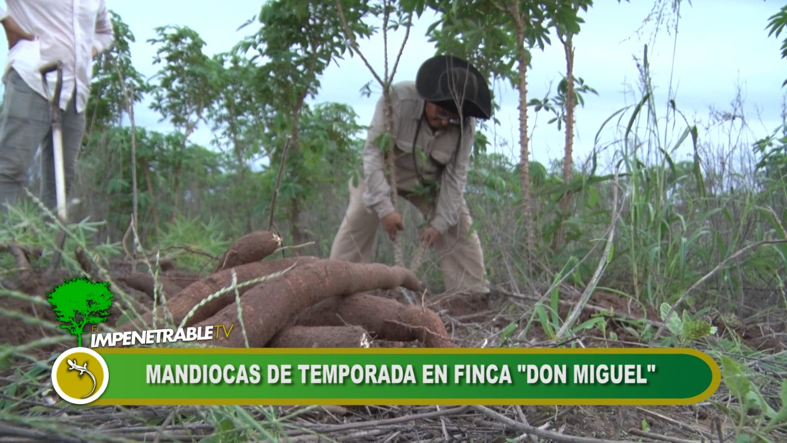 Imagen adicional