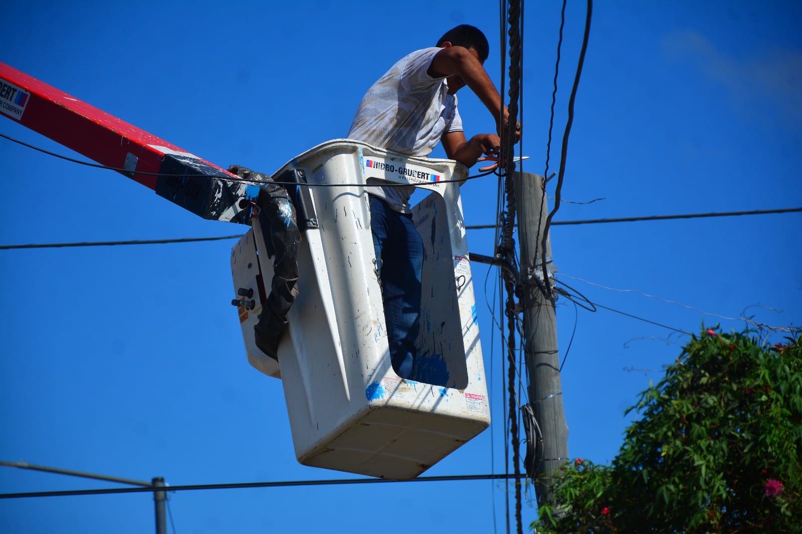 Imagen adicional