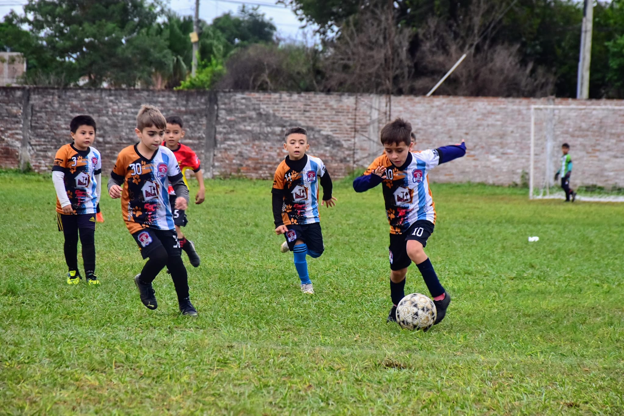 Imagen adicional