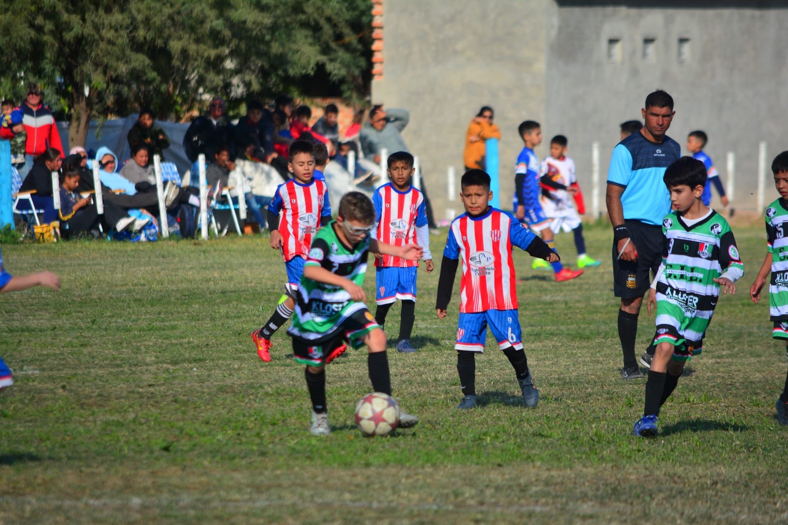 Imagen adicional