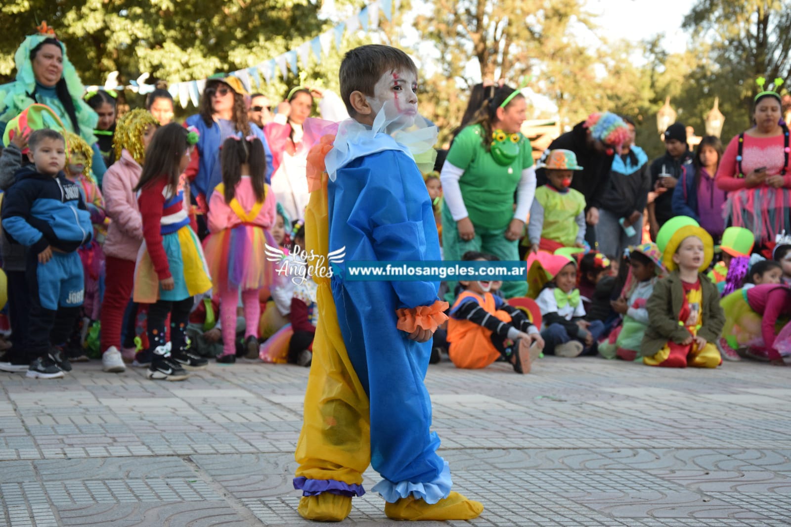 Imagen adicional