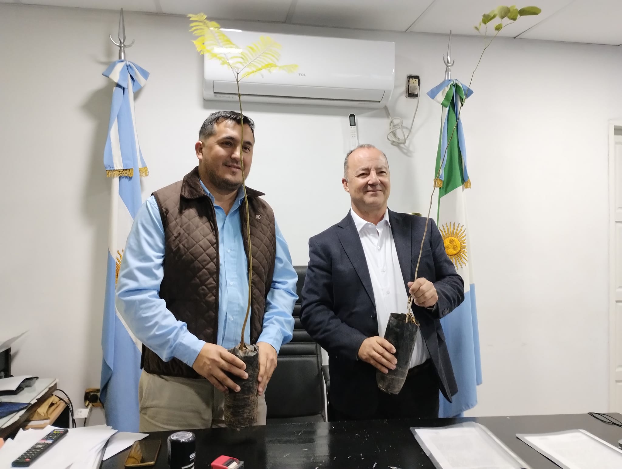 Imagen adicional