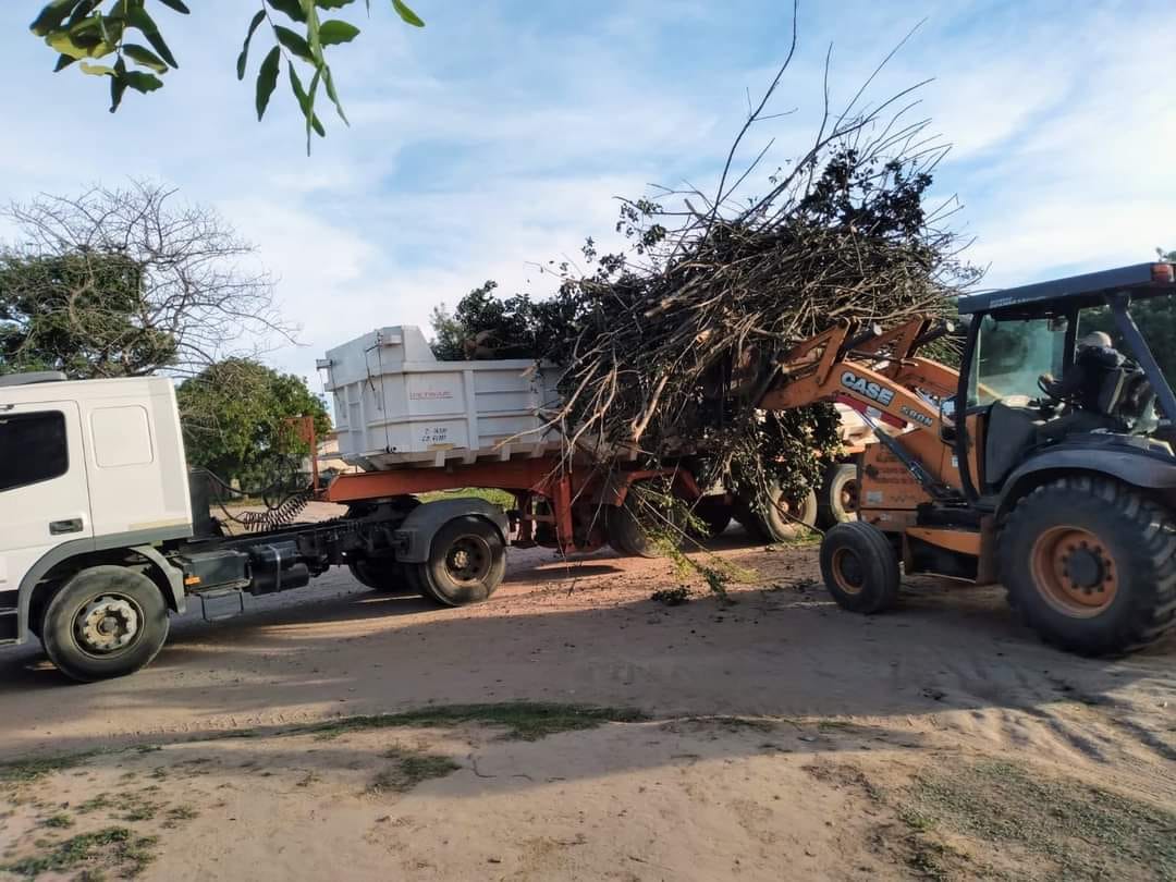 Imagen adicional