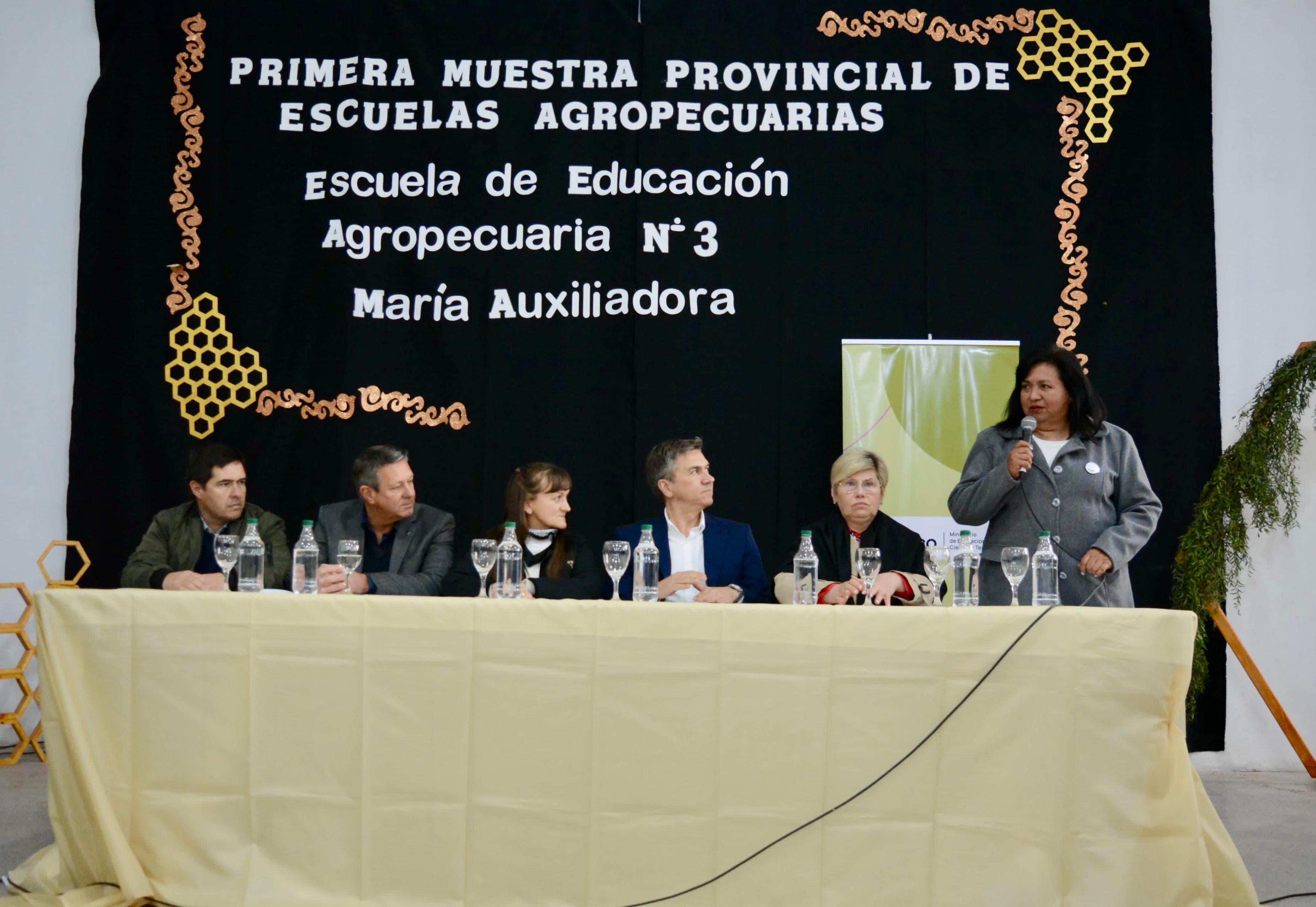 Imagen adicional
