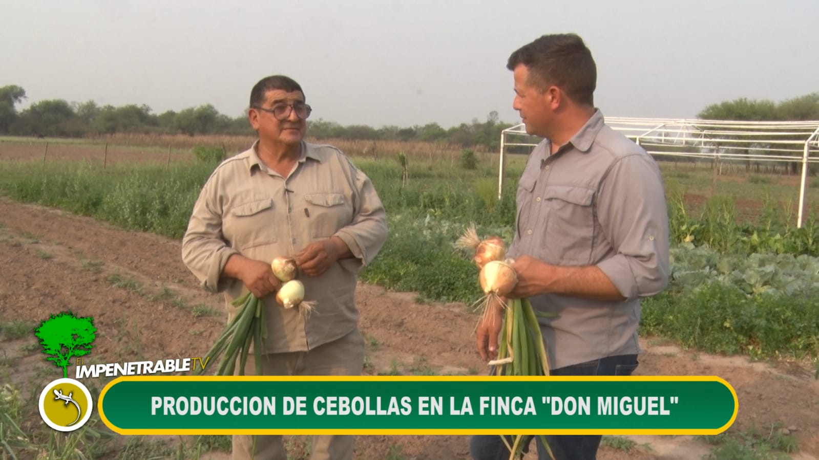 Imagen adicional
