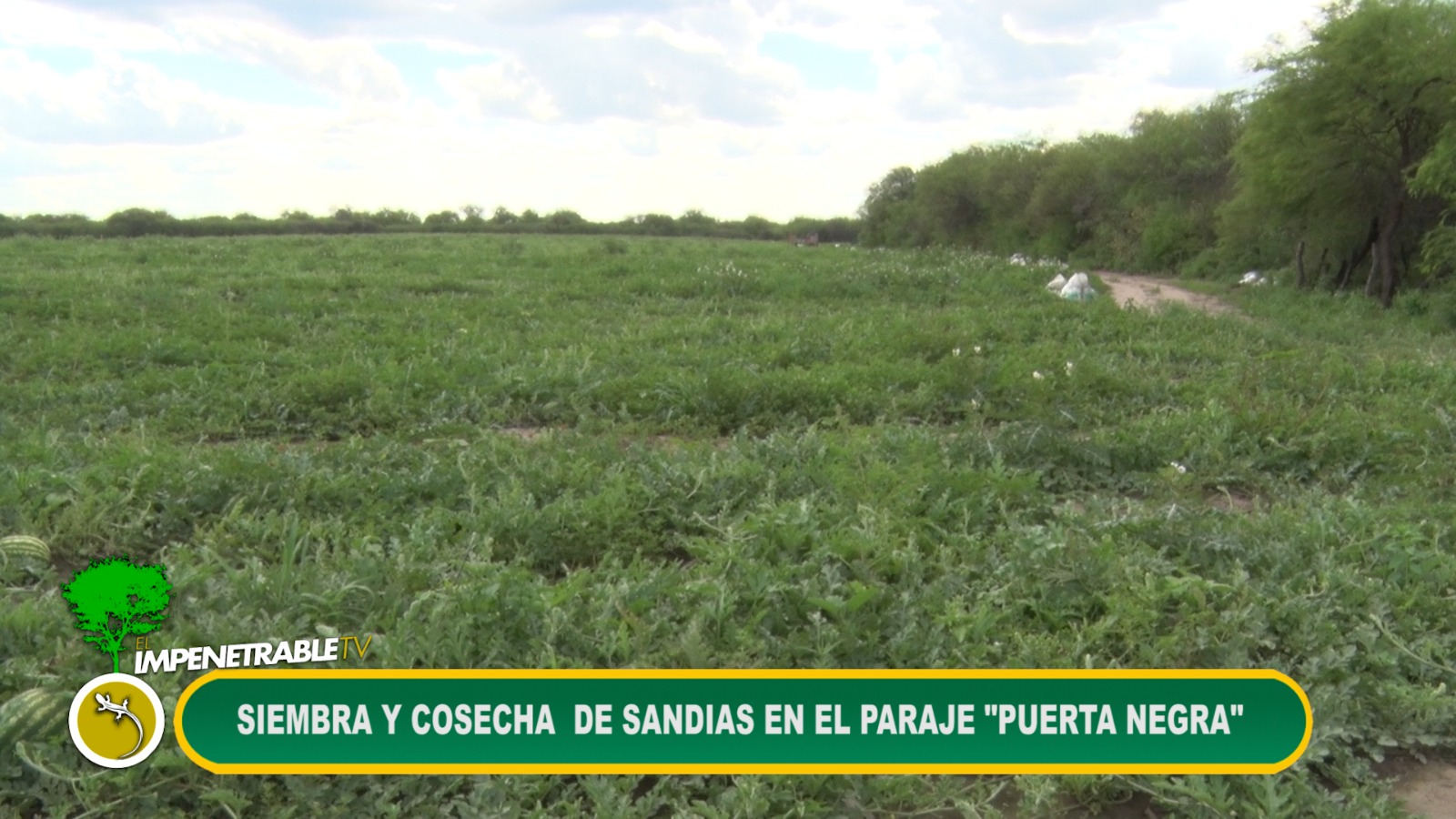 Imagen adicional