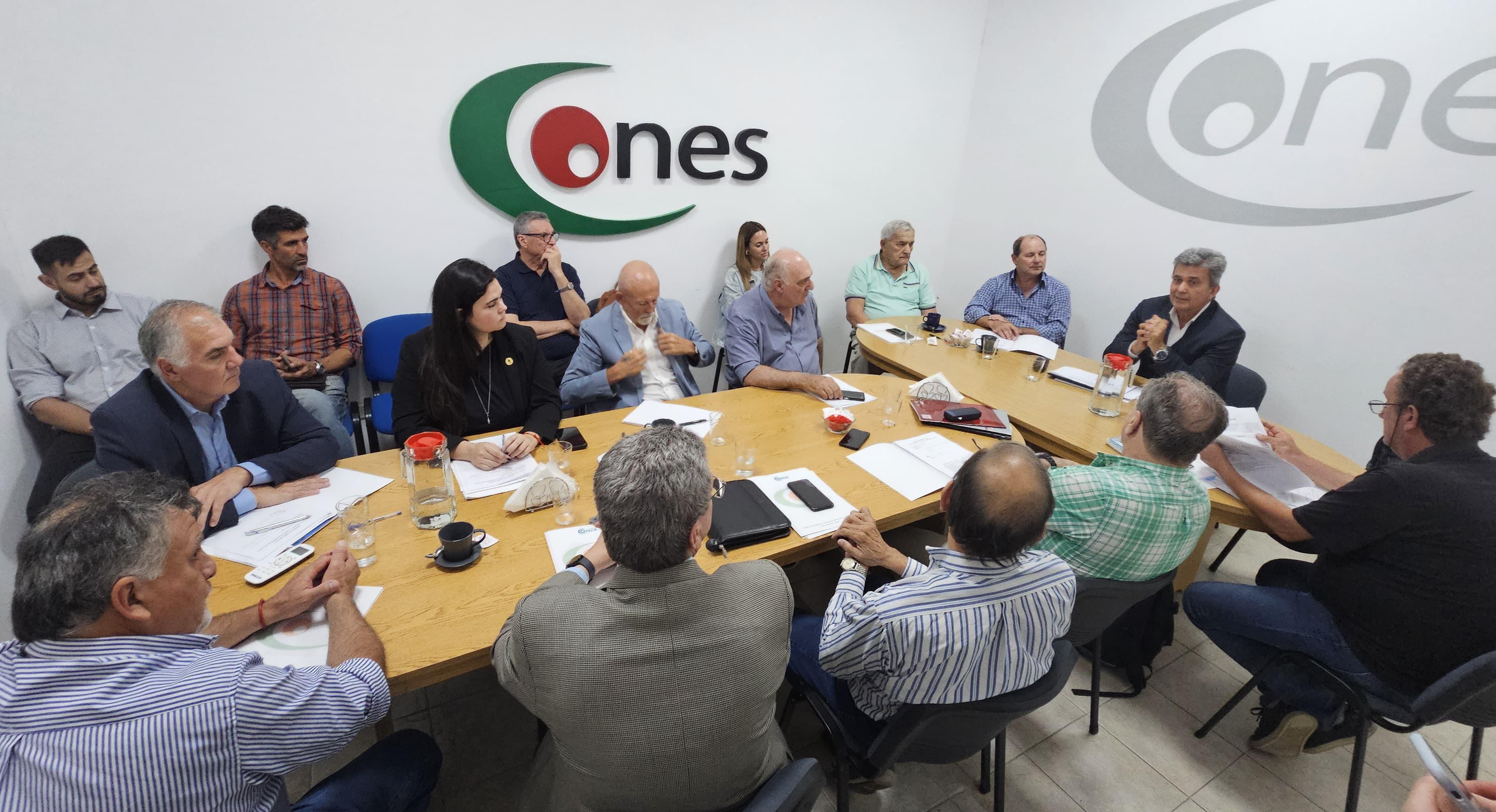 Imagen adicional
