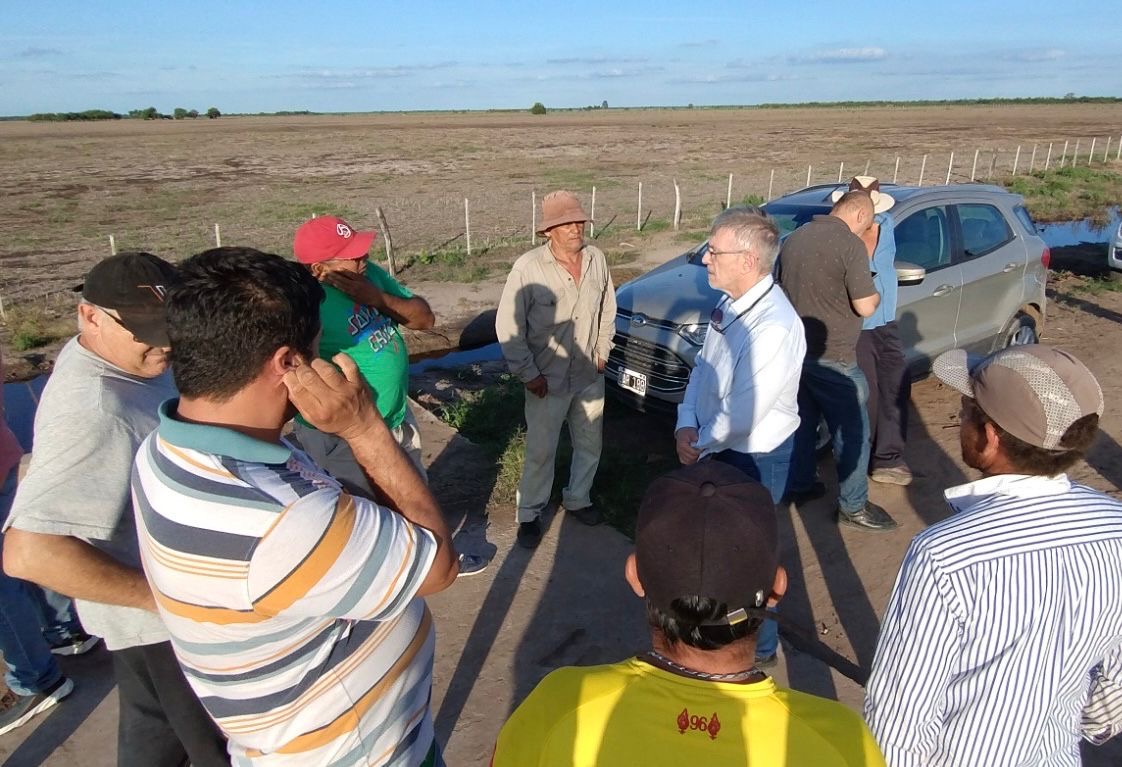 Imagen adicional