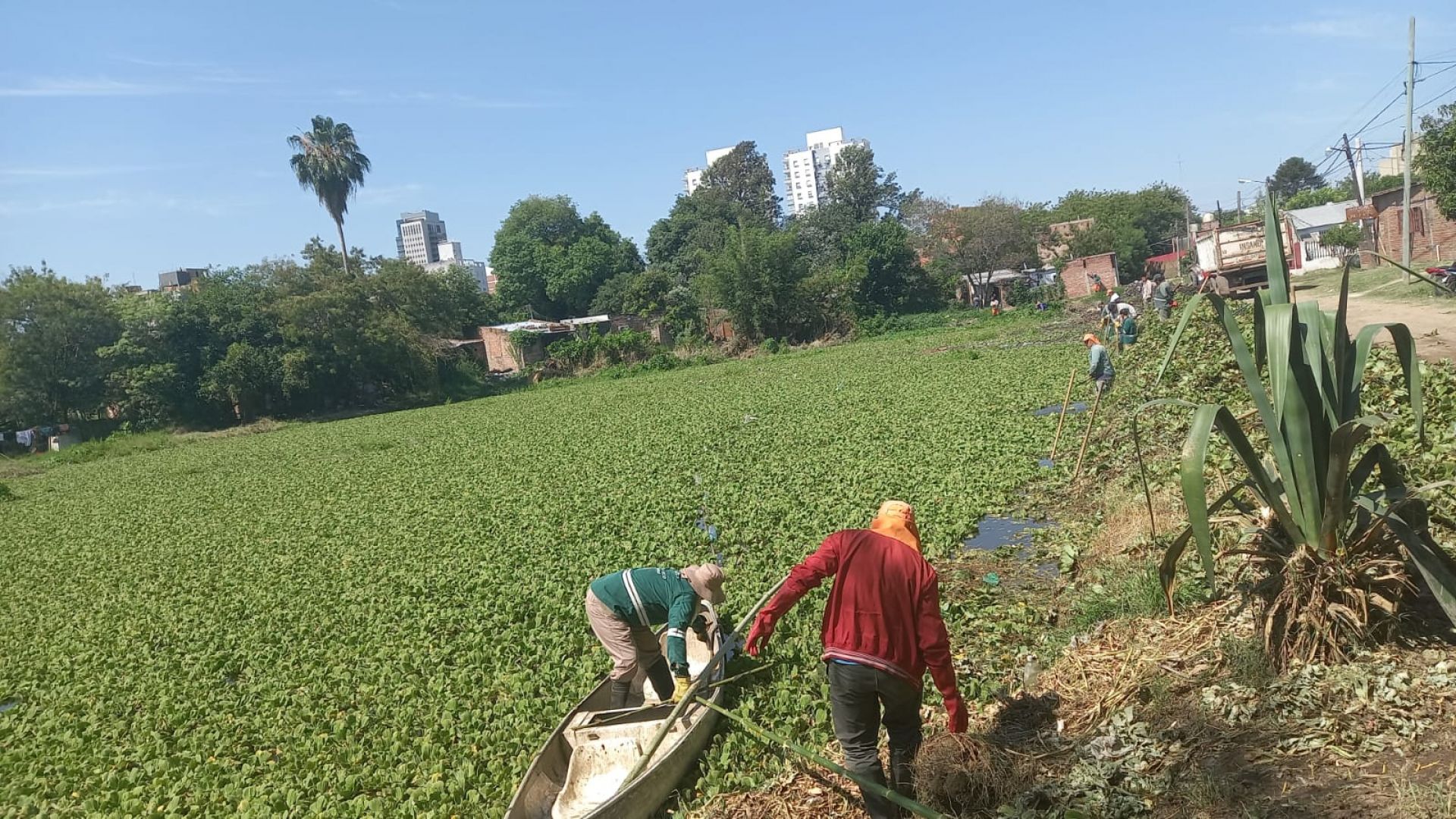 Imagen adicional