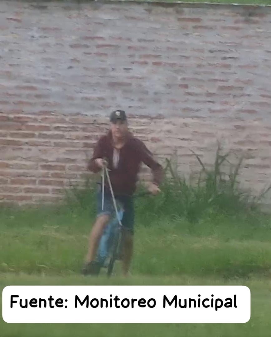 Imagen adicional