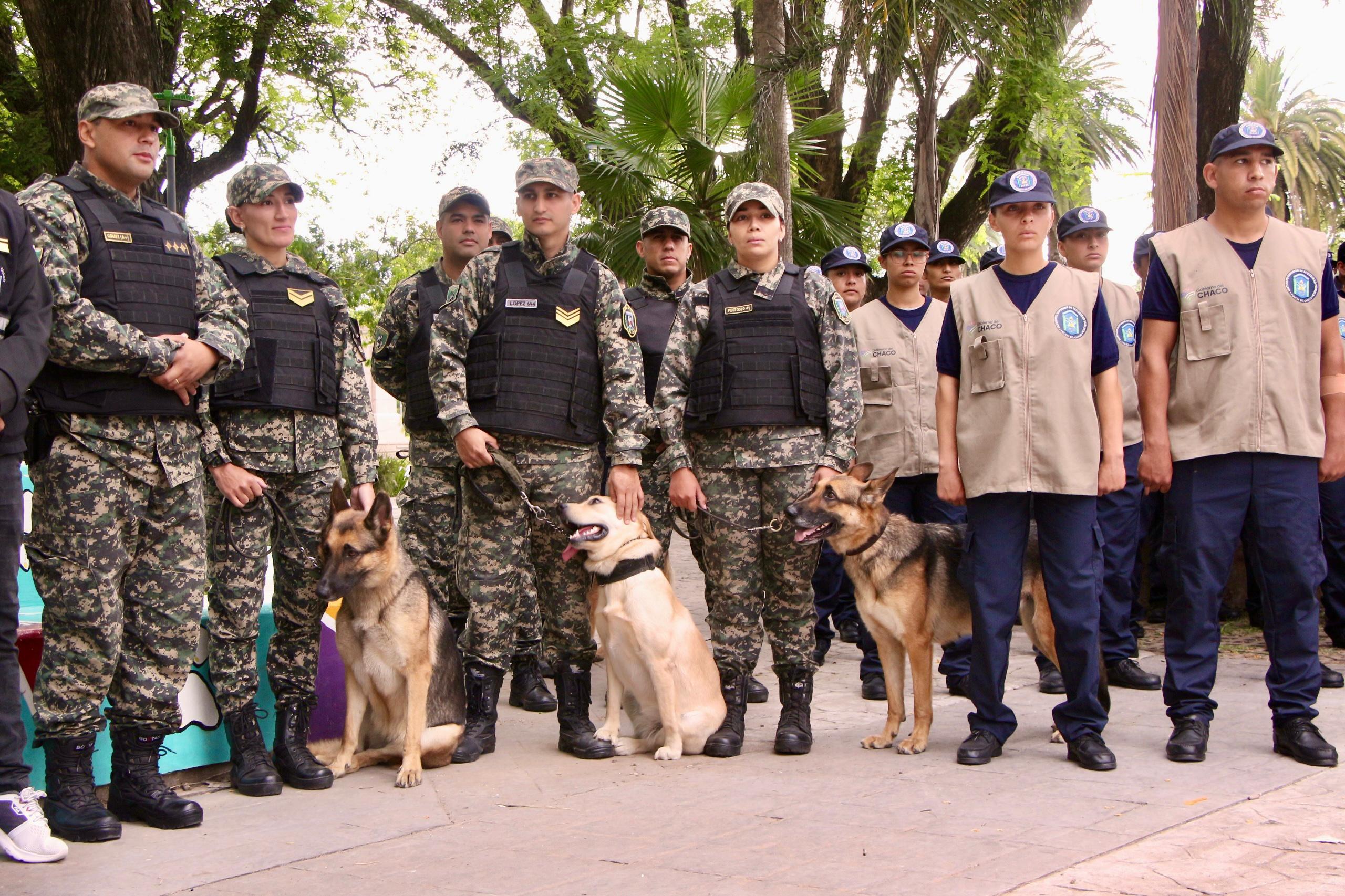 Imagen adicional