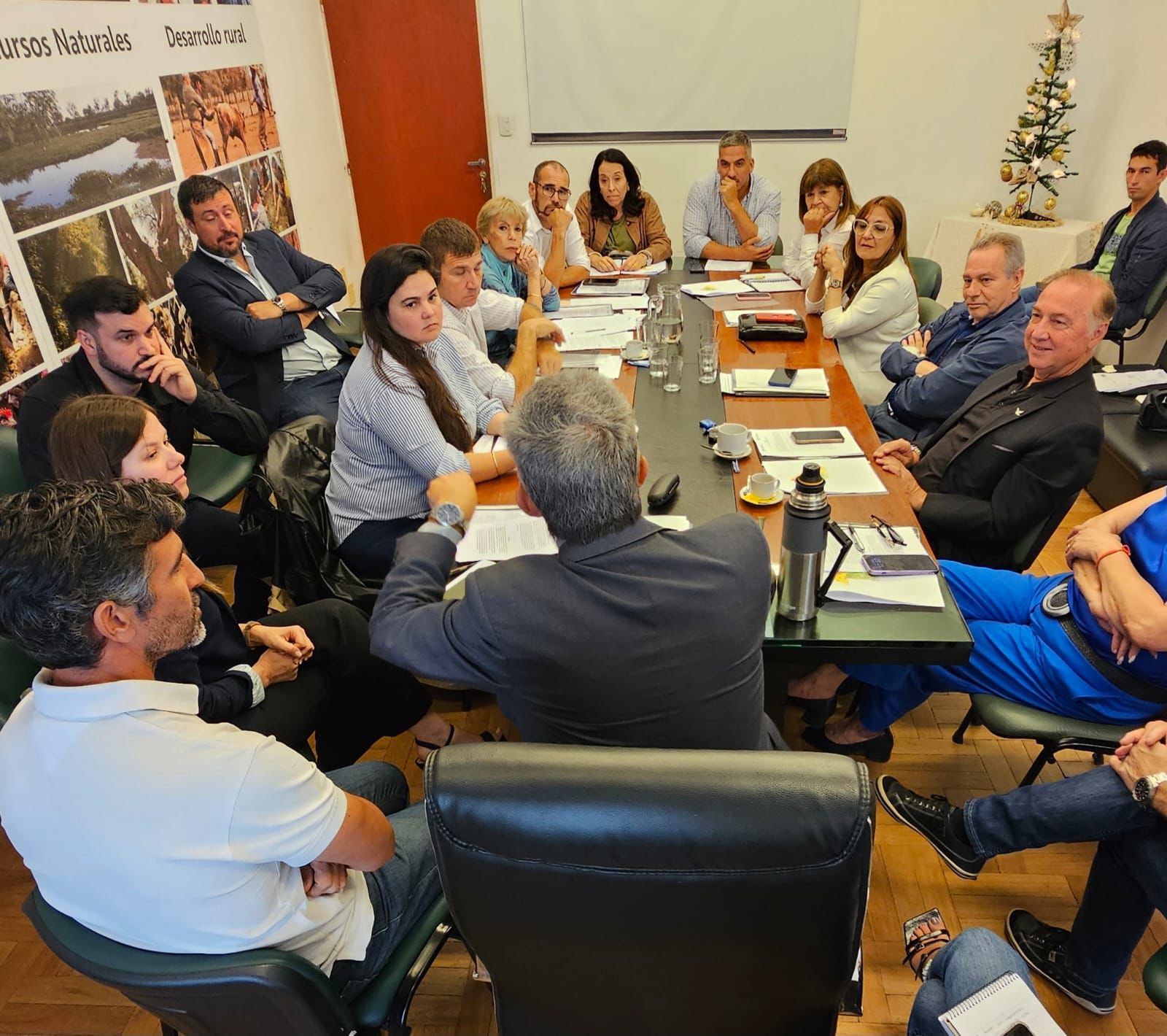 Imagen adicional