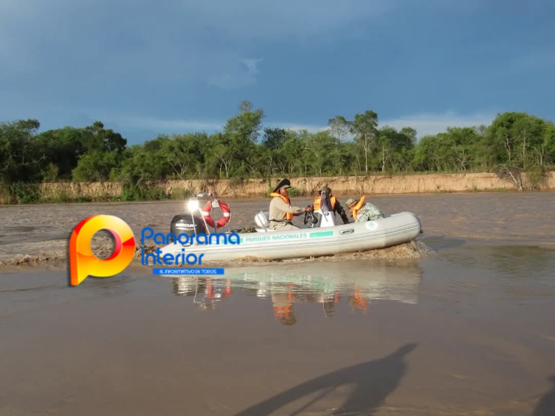 Imagen adicional