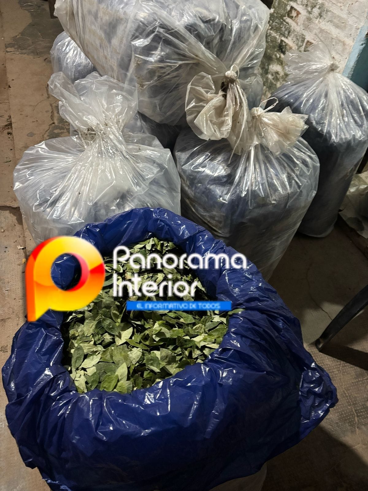 Imagen adicional
