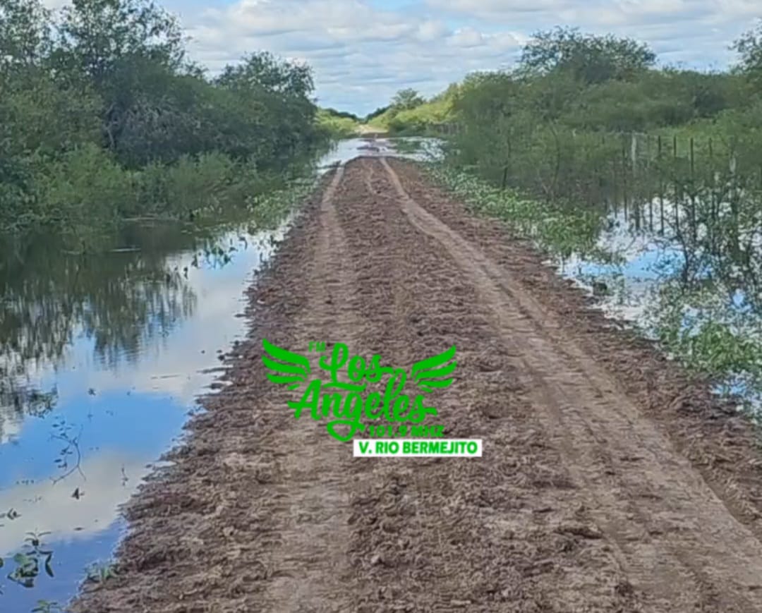 Imagen adicional
