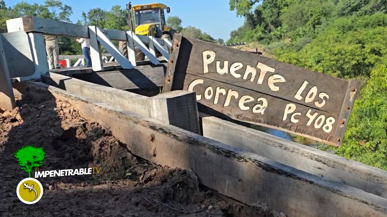 Imagen adicional