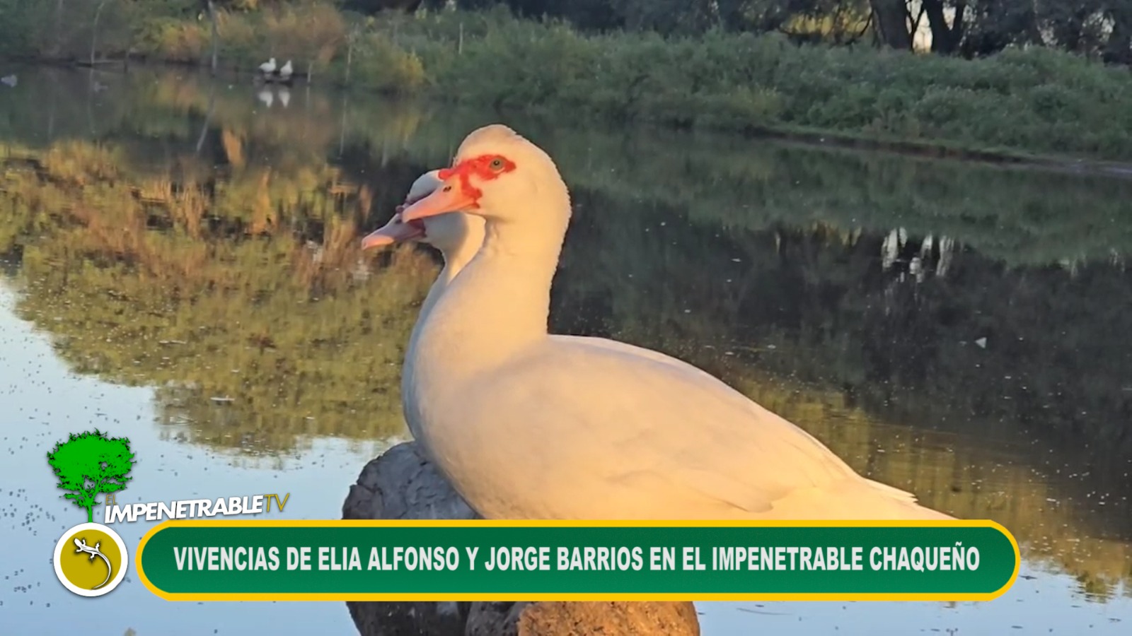 Imagen adicional