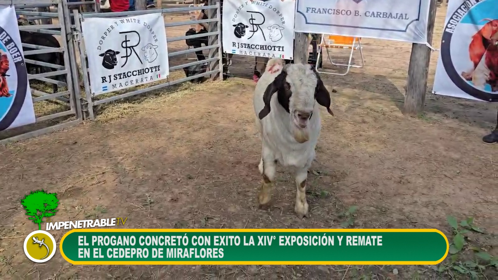 Imagen adicional