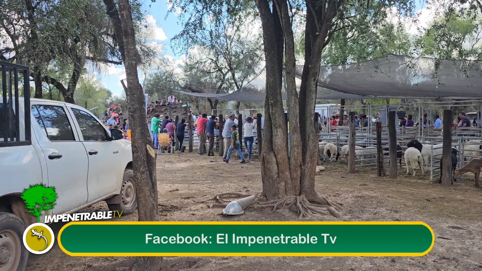 Imagen adicional