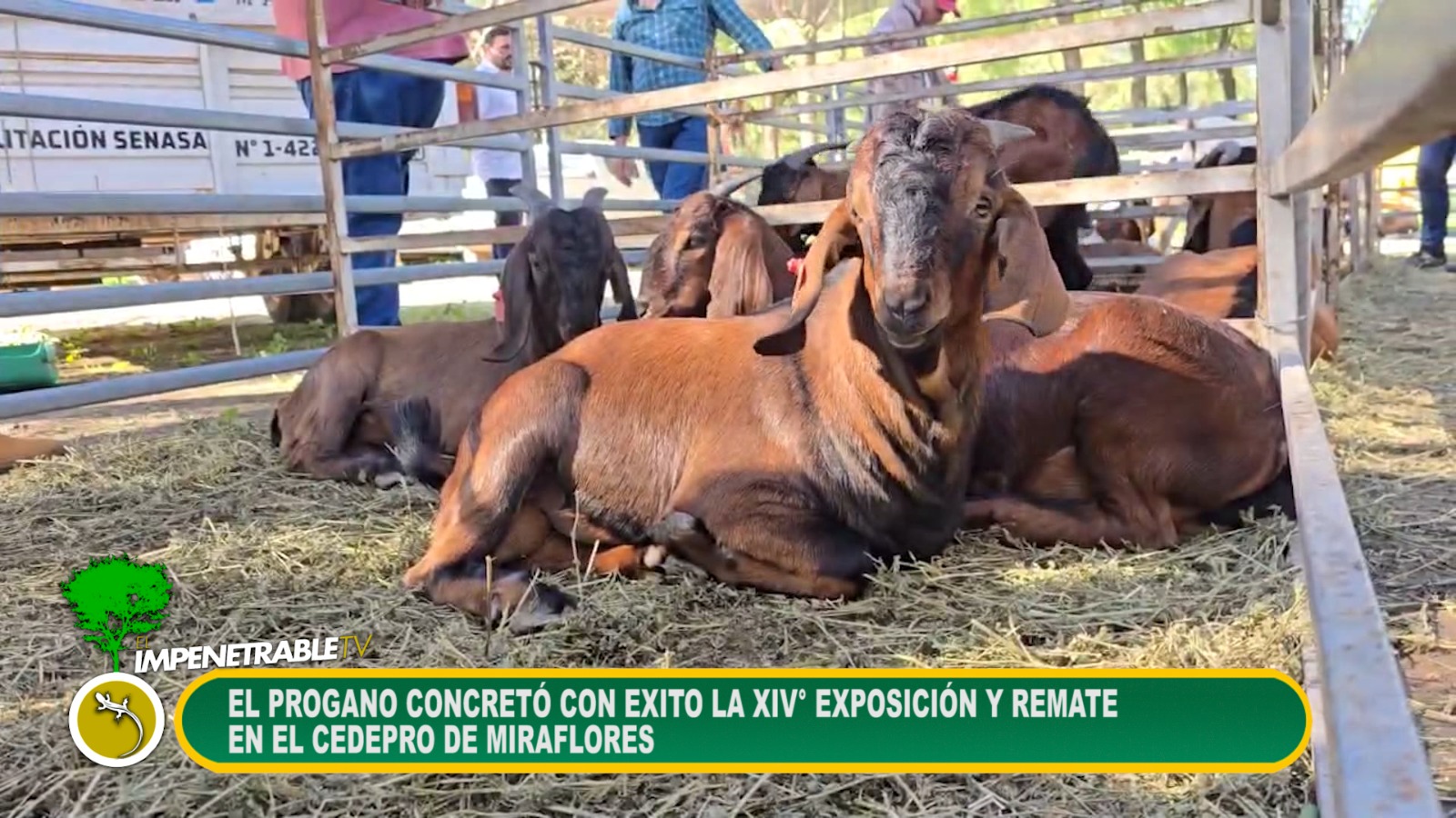 Imagen adicional