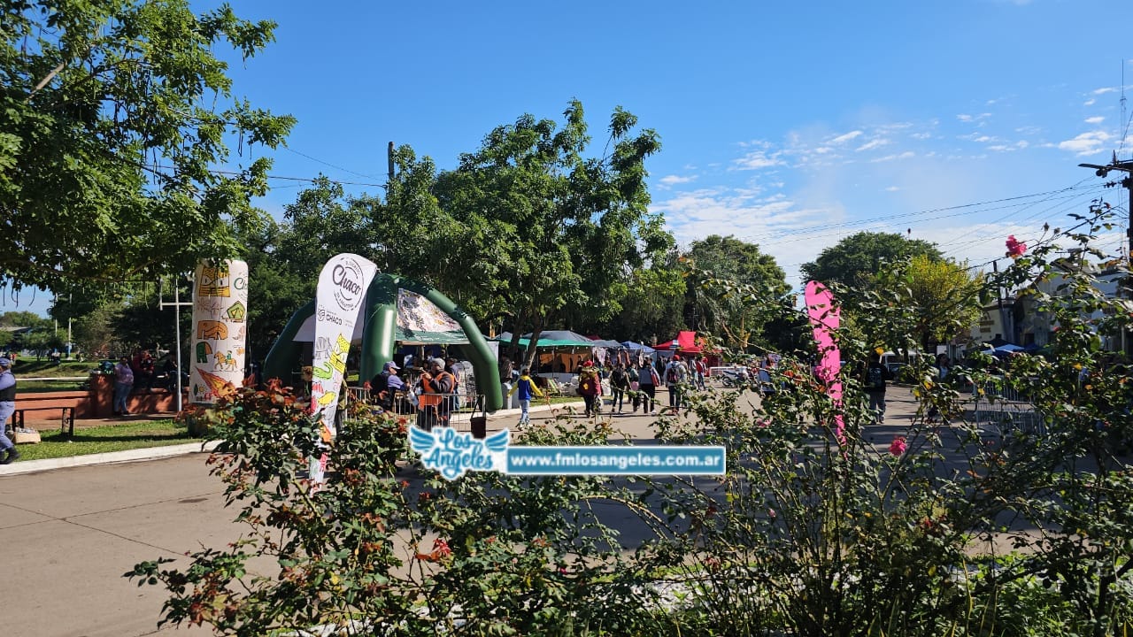 Imagen adicional