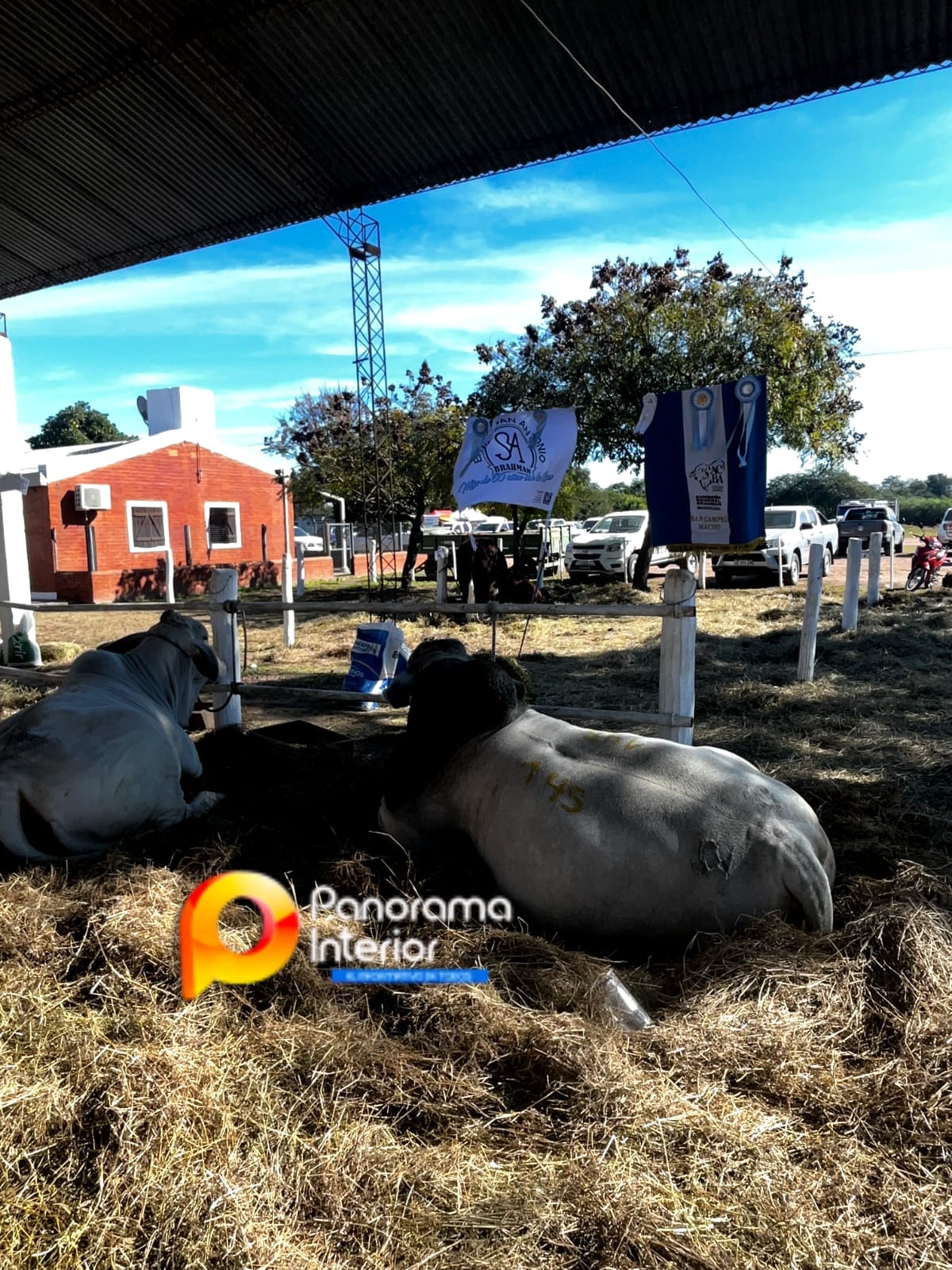 Imagen adicional