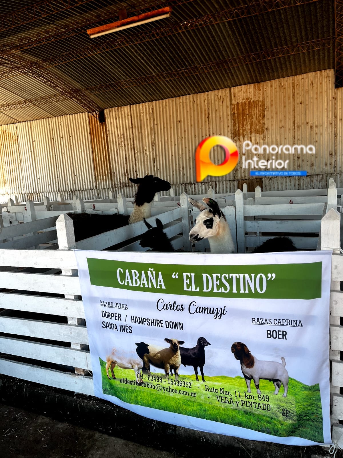 Imagen adicional