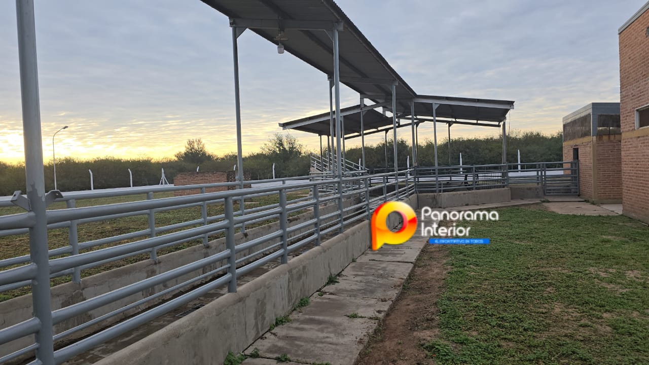 Imagen adicional
