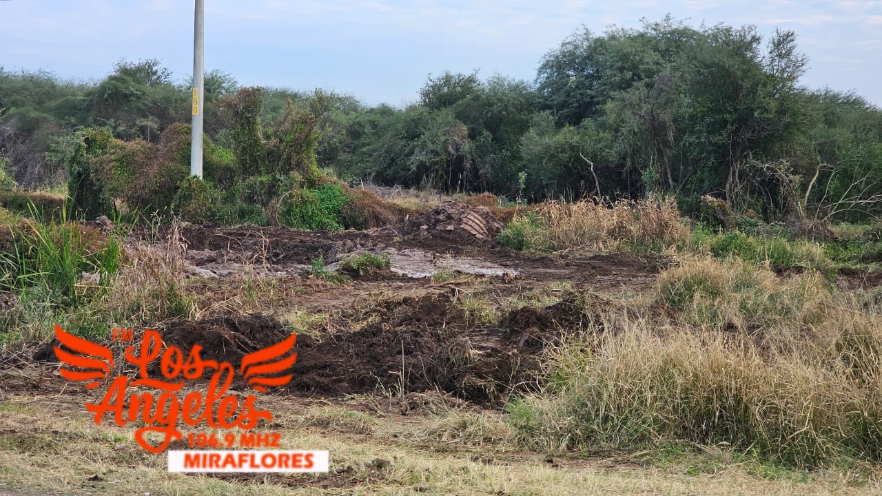 Imagen adicional