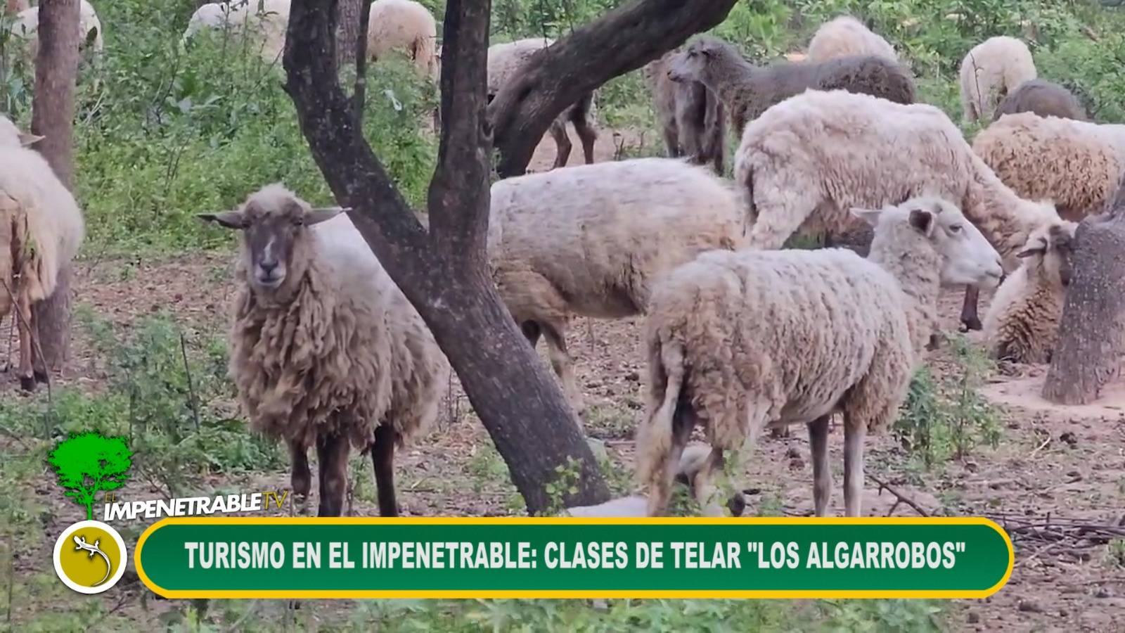 Imagen adicional