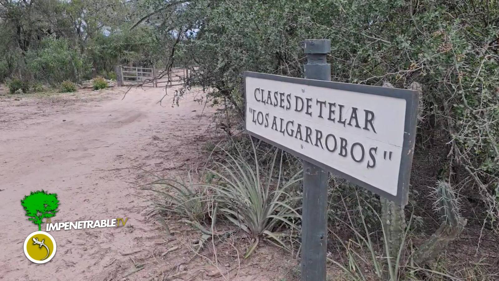 Imagen adicional