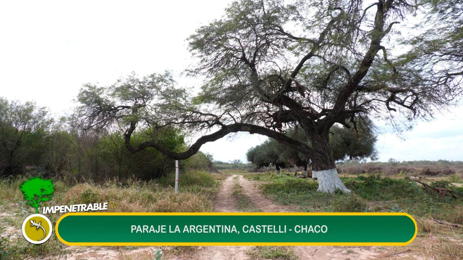 Imagen adicional