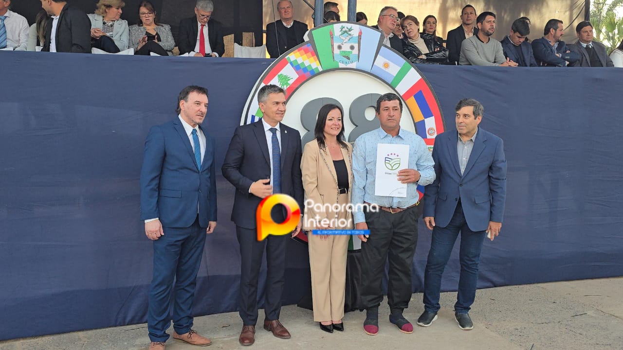 Imagen adicional